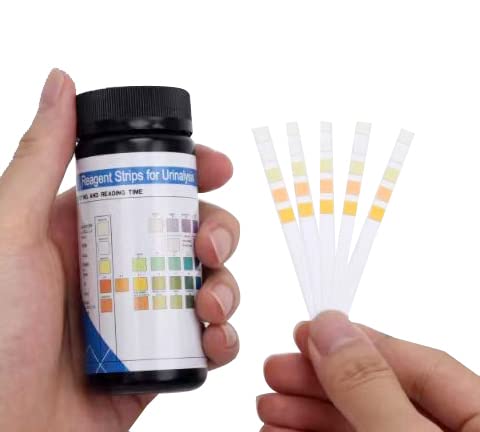 Rapid Urine Test Strips 5 Parameters, UTI Test Strips/Urinary Tract Infection Test Strips- 100 Count