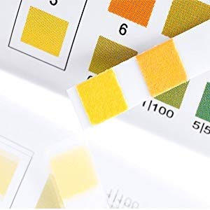One Step Pet Urine Testing Strips, 100 x 10 Parameter Urinalysis Tests for Dogs, Cats, Vets, Accurate Testing for Veterinarians, Detects UTI, Diabetes, Bladder, Kidney, Liver, SG, pH, Glucose - BeesActive Australia