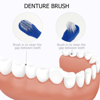 ARTIBETTER 2Pcs Denture Double-sided False Teeth Toothbrush Denture Cleaning Tool (White + Blue)