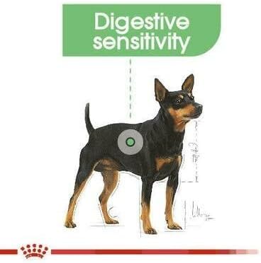 Royal Canin Digestive Care Adult Wet Dog Food 85g (Pack of 24)