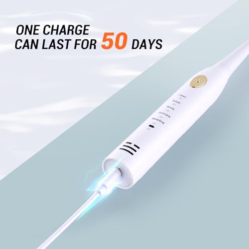 6 Pack Sonic Electric Toothbrushes for Adults Family Set with 24 Replacement Heads 5 Cleaning Modes Rechargeable Employee Appreciation Gifts Bulk 1 Count (Pack of 6)
