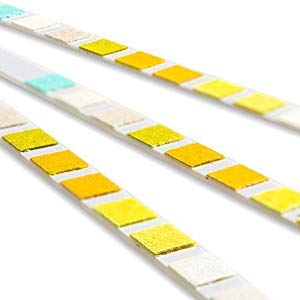 One Step Pet Urine Testing Strips, 100 x 10 Parameter Urinalysis Tests for Dogs, Cats, Vets, Accurate Testing for Veterinarians, Detects UTI, Diabetes, Bladder, Kidney, Liver, SG, pH, Glucose - BeesActive Australia