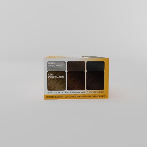#45 Chocolate Bigen Permanent Powder - 6 Pack 45 Chocolate 0.21 Ounce (Pack of 6)
