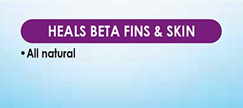 API BETTAFIX Antibacterial & Antifungal Betta Fish Infection and Fungus Remedy 1.7-Ounce Bottle 1.7 Fl Oz (Pack of 1)