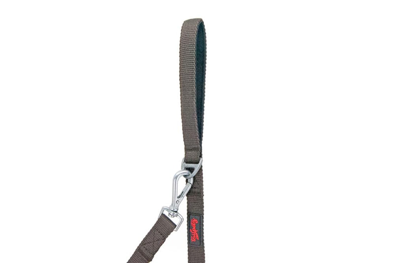 Tailpetz Basic Match Pet Leash 4,58ft Long for Small and Medium Breed Dogs and Cats (Medium, Brown) - BeesActive Australia