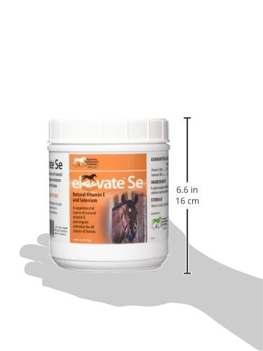 Elevate Se Natural Vitamin E and Selenium Powder for Horses, 2 Pound Container - BeesActive Australia
