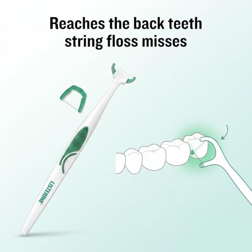 Ultra Clean Access Flosser for Hard-to-Reach Back Teeth, Reusable Floss Handle with 28 Disposable Mint Refill Heads, Long Handle Flossing Tool for Adults 1