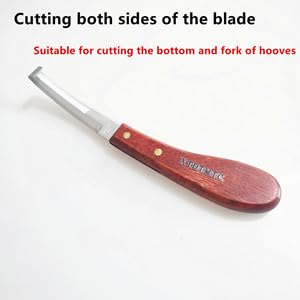 Farrier Tools 8-inch (Approximately 20.4 cm), Horse clamp Tool, Rasp Hoof Cutter Set, Horse Shoe Trimmer Tool, Suitable for Goats, Sheep, Cats, Dogs, and Cattle Supplies - BeesActive Australia
