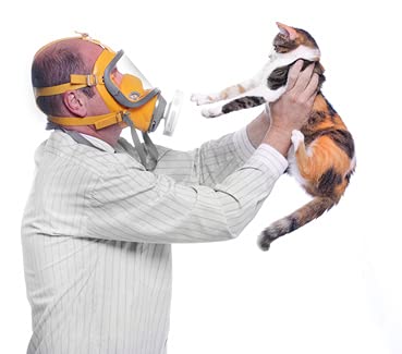 Allergone Allerpet/cat solution for cat allergies - BeesActive Australia