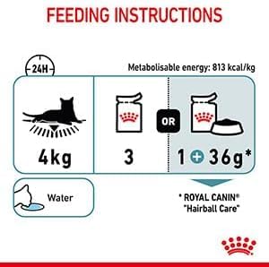ROYAL CANIN Hairball Care In Jelly Adult Wet Cat Food (Pack of 12)