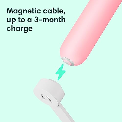 Quip Rechargeable Smart Sonic Toothbrush for Adults - Timed Electric Toothbrush with Bluetooth & Rewards App - Replaceable Brush Head, Soft Bristles, Metal Handle - Travel Toothbrush - All-Pink Pink