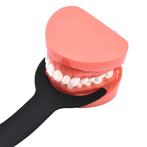 2 pcs Silicone Dental Orthodontic Photography Contraster C1+C2