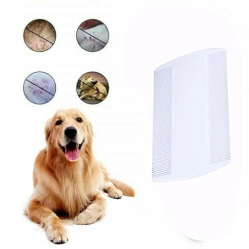 White Double Sided Nit Fine Tooth Head Lice Hair Combs For Kids Pet dog Flea Plastic Hair Remove Lice Brush Combs W8E1 Comb，Grooming，Dog