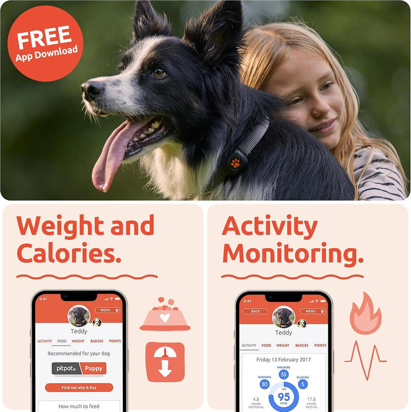 Pitpat - activity monitor for dogs