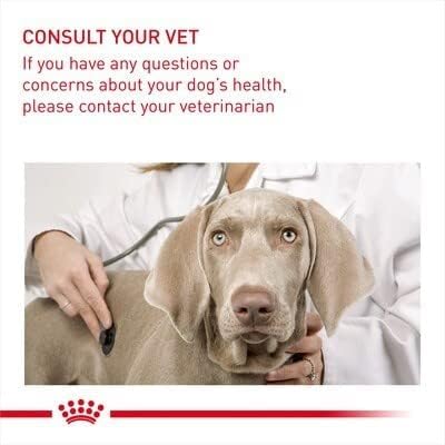 Royal Canin Digestive Care Adult Wet Dog Food 85g (Pack of 24)