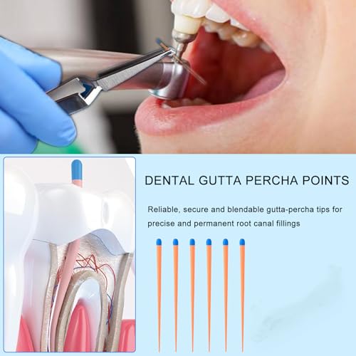 Gutta Percha Points, 120PCS Absorbent Paper Points, #30, 02 Taper. Spill-Proof Box