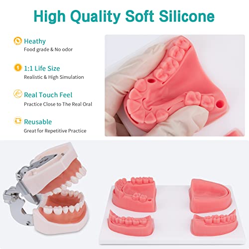 Dental Oral Practice Kit - Dental Training Kit with 4 Soft Silicone Oral Pad - 25 Pcs Set Practice Kit for Dentist Practice & Assistant Student Training