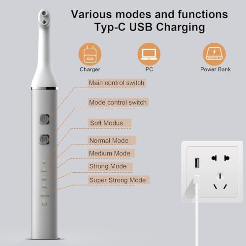Tooth Polisher,Teeth Polishing Kit for Daily Cleaning,Polishing Then Whitening of Tooth (Professional Toothpaste Include),USB Rechargeable Dental Polisher with LED Light,6 Heads,5 Speed Modes White & Silver