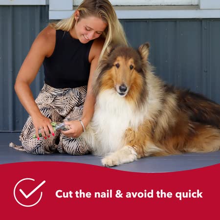 Coastal Pet Safari Professional Dog Nail Trimmer - Dog Nail Clippers for Grooming - Dog Claw Care for Small & Large Dogs - Nail Trimmer - Pet Supplies for Dog Grooming - Standard, 5" x 1.5" - BeesActive Australia