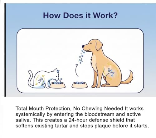 Organic Kelp Plaque & Tartar Remover for Dogs & Cats – Natural Seaweed Dental Powder – Human Grade – 70g