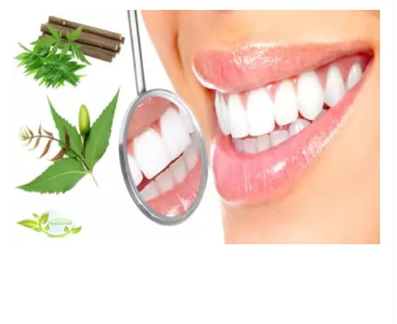 Traditional Ayurvedic Neem Datun Sticks, Natural Neem Twigs for Manual Tooth Cleaning, Wooden Chew Sticks, Traditional Toothbrush Alternative, 6-8 Inch, Pack of 10 with 1 Pcs Free