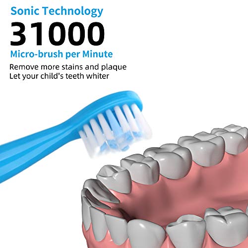 OJV 8630 Kids Sonic Electric Toothbrushes & 2 Pack Replacement Toothbrush Heads (Bule)