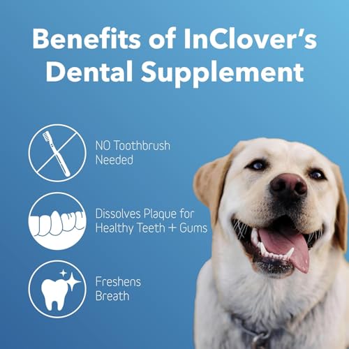 InClover Dental Powder for Dogs & Cats, Natural Teeth Cleaning
