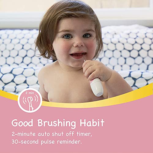 Papablic BabyHandy 2-Stage Sonic Electric Toothbrush for Babies and Toddlers Ages 0-3 Years, Blue Bundle with Pink