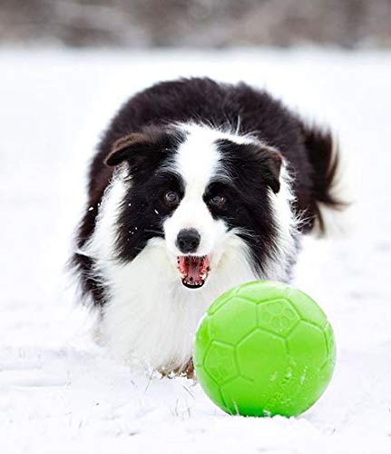Jolly Pets Large Jolly Soccer Ball Floating-Bouncing Dog Toy; 8" Green Apple Large/X-Large: 8 Inch Diameter Apple Green - BeesActive Australia