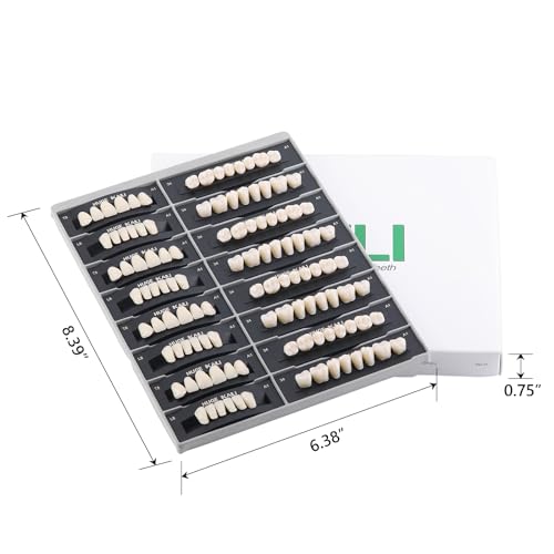 JMU 112 Pcs Dental Acrylic Resin Denture Teeth Shade A1 T8-4 Sets, False Teeth for Replacement, Halloween, DIY (28 Pcs/Set) T8, 4 Set