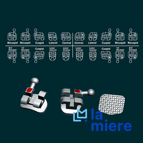 200PCS Orthodontic Metal Brackets Standard Roth 0.022 Slot Bondable 3-4-5 Hook 10PK 200