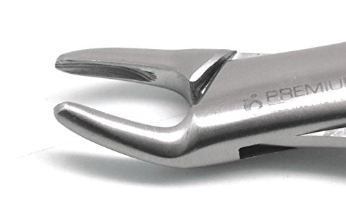 2 Pcs Dental Extracting Forceps 150s 151s Upper Lower Molar — ISO 9001 | CE Marked — Premium Instruments