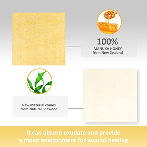 Dr. Med Manuka Honey Calcium Alginate Dressing 2"x2" (10 PCS/Box), Highly Absorbent dressings with Honey for Abrasions, Burns, Diabetic Foot, Pressure Sores and Venous Ulcers Faster Wound Care 2"x2" (10 Pack/Box)