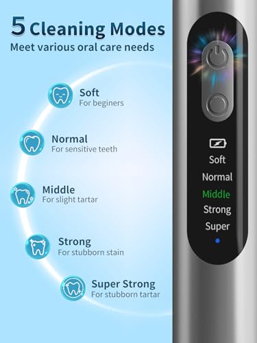Plaque Remover for Teeth - Teeth Cleaning Kit Tartar Remover for Teeth with LED Light & 5 Adjustable Modes, USB C Rechargeable, 4 Replaceable Heads&6 Dental Tools, IPX7 Waterproof for Home Use