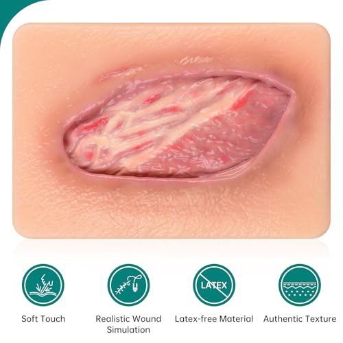 Pressure Ulcer Wound Model Stage 4 Pocket Size