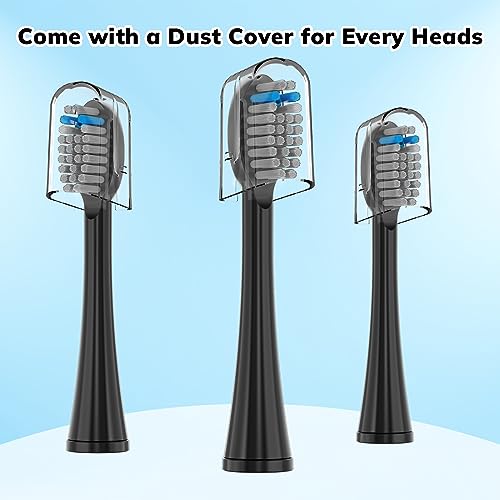 6 Pack Replacement Flossing Toothbrush Heads for Waterpik Sonic Fusion - Compatible with SF-01/SF-02/SF-03/SF-04 - Black with Caps 6p Black