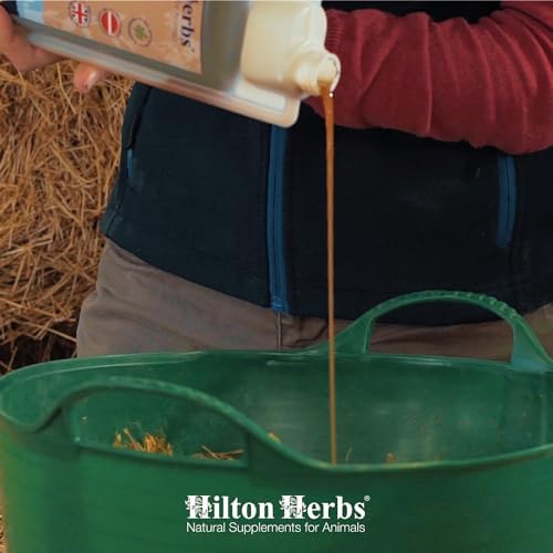 Hilton Herbs Detox Gold 1 Litre 0.2 g (Pack of 1)