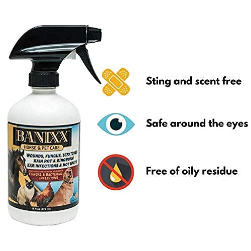 BANIXX Essential First-Aid Solution - BeesActive Australia