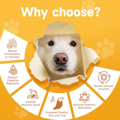 Mushroom for Dog with Turkey Tail Mushroom for Dogs, Lion’s Mane, Shiitake - Pumpkin Powder for Dogs Supports Digestion, Gut Health
