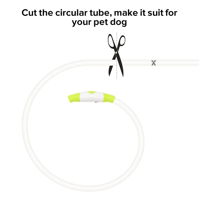 iTayga Luminous Dog Collar, USB Rechargeable and Waterproof Dog Collar, Adjustable Length, Safety Collar for Dogs and Cats, 3 Modes, Green - BeesActive Australia
