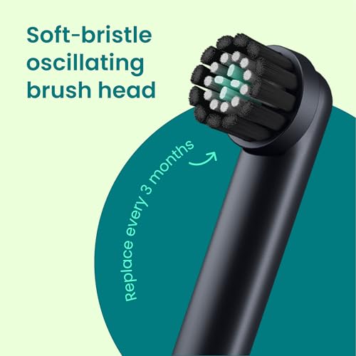 Quip Rev Oscillating Rechargeable Electric Toothbrush with Extra Brush Head - Soft Bristles, Pressure Sensor, 3 Intensities, 30-Day Battery Life, 2-Min Timer, Travel Case, Mirror Mount - Blue Stone