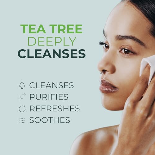 NOVEHA 60PCs Tea Tree Oil Eyelid & Lash Wipes | With Hyaluronic Acid, Green Tea & Chamomile For Blepharitis, Itchy & Stye Eyes, Individually Wrapped, Natural Eyelash Makeup Remover & Daily Cleanser 60 Count (Pack of 1)