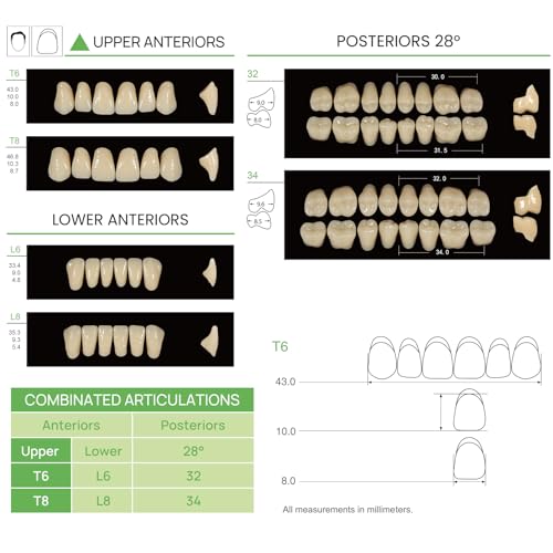JMU 112 Pcs Dental Acrylic Resin Denture Teeth Shade A1 T8-4 Sets, False Teeth for Replacement, Halloween, DIY (28 Pcs/Set) T8, 4 Set