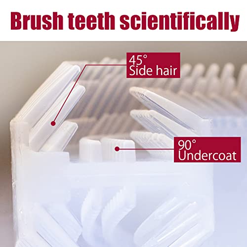 Automatic Electric Toothbrush Portable Washable Soft Bristles 30s Automatic Timer Wireless Charging Dual-Use for Travel & Home