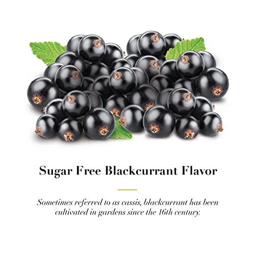 Dr. Doolittle’s Sugar Free Soft Fruit Pastilles for Voice and Throat, Blackcurrant Flavor, 2.12 Ounce Tin, Approximately 25 Count Package, 6 Pack