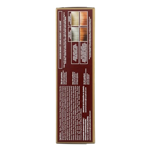 Surya Brasil Henna Cream Golden Blonde - 98% Natural Ingredients, Vegan, Cruelty-Free, Eco-Friendly, Semi-Permanent Hair Color, Deep Hydration & Shine, 2.37 oz