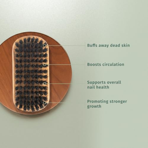 SHASH Made in Germany - 100% First Cut Boar Bristle Nail Brush - Gently Removes Dirt, Grime for Clean Hands - Exfoliates Skin for Soft, Smooth Texture, Wood (Olive) (Black Boar Bristle) Black Boar Bristle