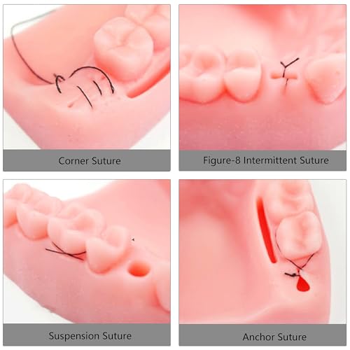 Dental Suture Practice Kit Dental Training Simulation Sets