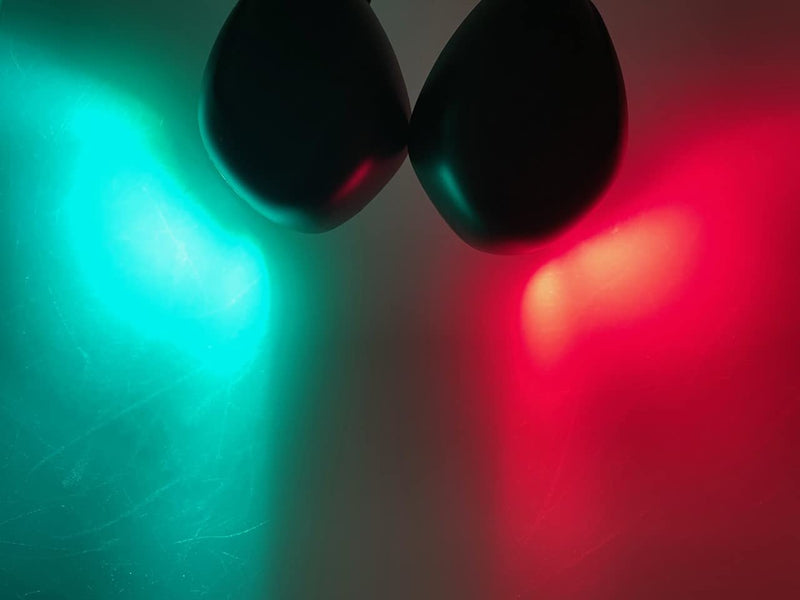 Pactrade Marine Boat Horizontal Mount Navigation Green Red Light 2NM LED IP:66 20m 112.5 Degrees Each DC12V/2W Black Plastic PC Housing (Green Starboard & Red Port Lights) Green Starboard & Red Port Lights