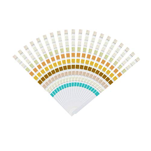 Health Test Strips (100Pcs Urine Test Strips) 100pcs Urine Test Strips - BeesActive Australia